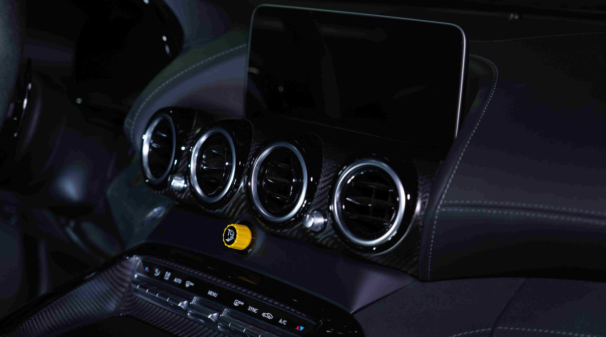 2019 Mercedes-Benz GTR Pro