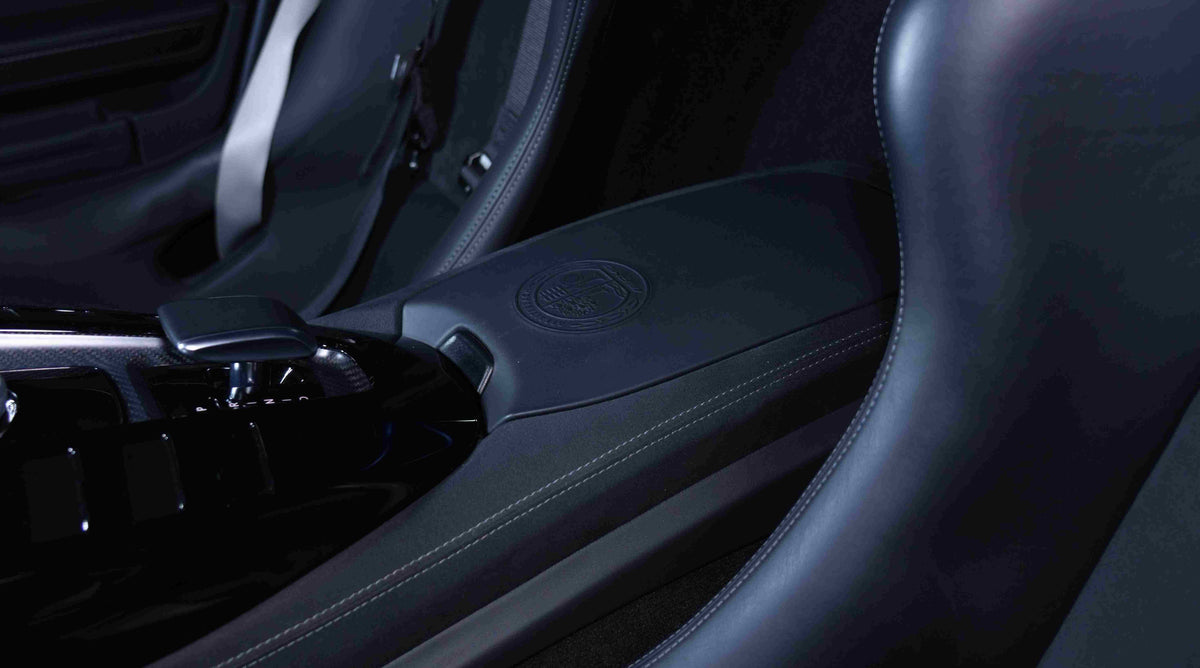2019 Mercedes-Benz GTR Pro
