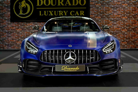 2019 Mercedes-Benz GTR Pro