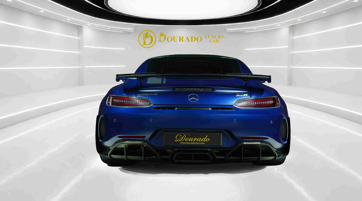 2019 Mercedes-Benz GTR Pro