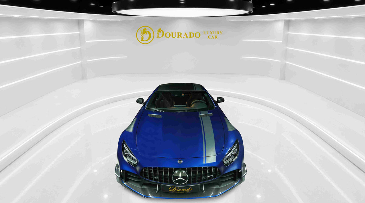 2019 Mercedes-Benz GTR Pro